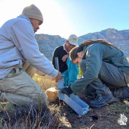 Camera trap setup with CapeNature